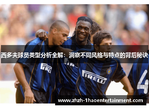 西多夫球员类型分析全解：洞察不同风格与特点的背后秘诀