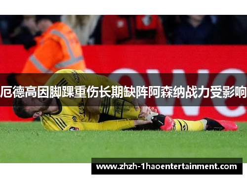 厄德高因脚踝重伤长期缺阵阿森纳战力受影响 厄德高因脚踝重伤长期缺阵阿森纳战力受影响